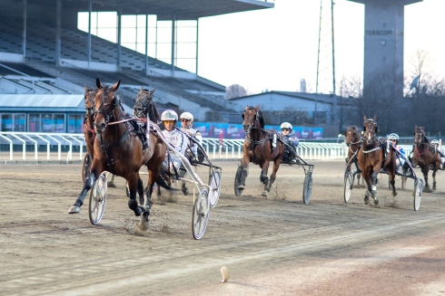 Emoji är Flemming Jensens bästa chans på V86 på onsdag. Foto av Mikael Rosenquist/TR Bild